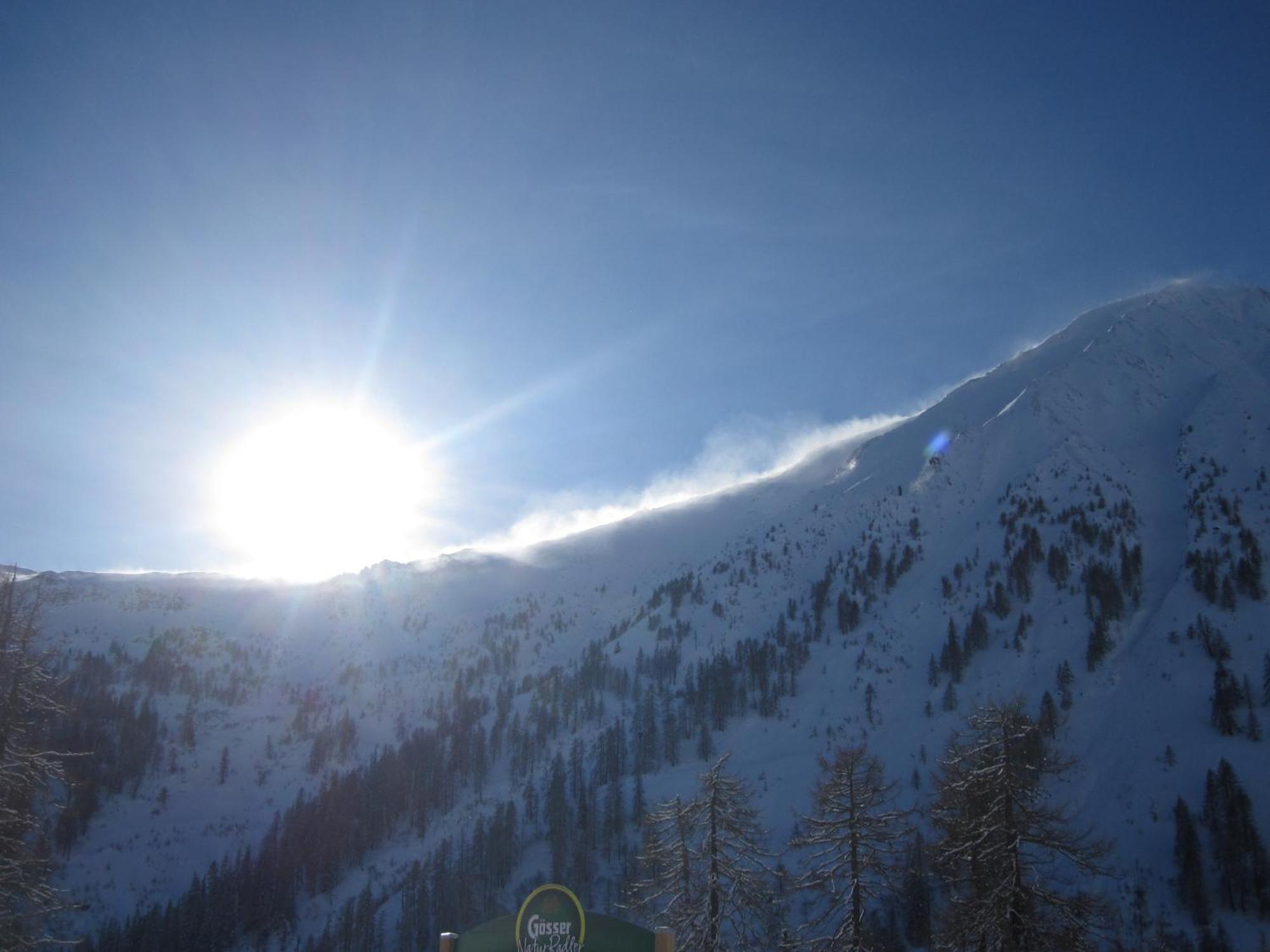 Garni Alpendiamant Fiss
