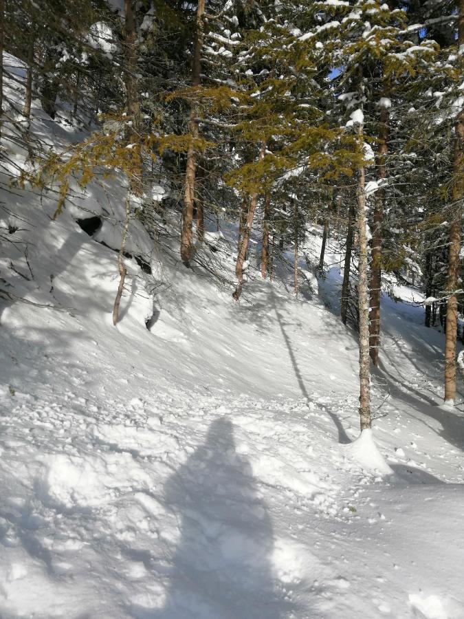 Garni Alpendiamant 4* Fiss